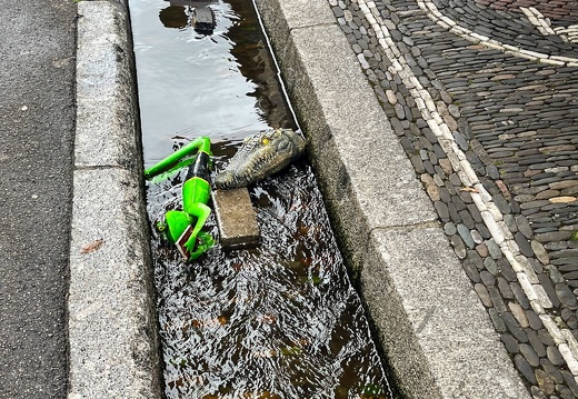 Freiburg - Schloßberg - St. Ottilien
